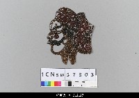 藏品(中國湖北皮影戲偶頭-丑)的圖片